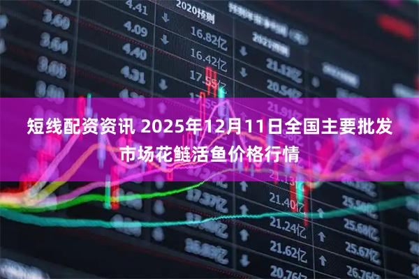 短线配资资讯 2025年12月11日全国主要批发市场花鲢活鱼价格行情