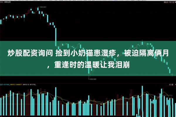 炒股配资询问 捡到小奶猫患湿疹，被迫隔离俩月，重逢时的温暖让我泪崩