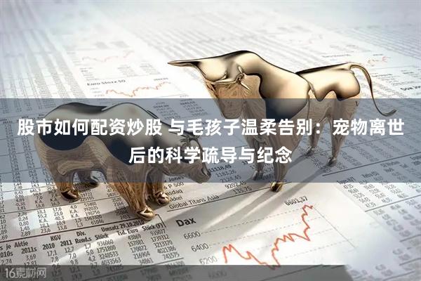 股市如何配资炒股 与毛孩子温柔告别：宠物离世后的科学疏导与纪念