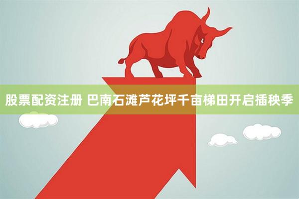 股票配资注册 巴南石滩芦花坪千亩梯田开启插秧季