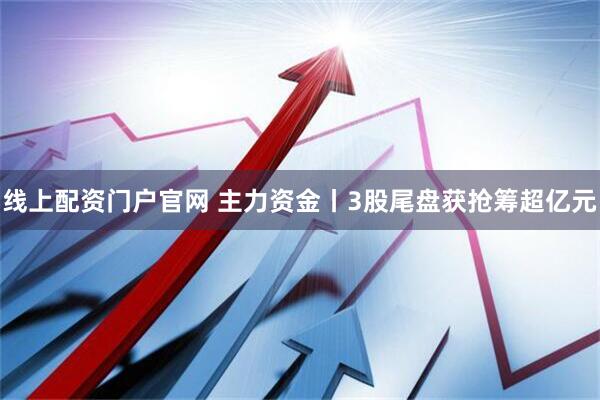 线上配资门户官网 主力资金丨3股尾盘获抢筹超亿元